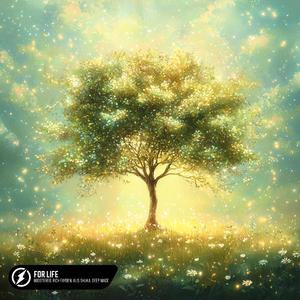 福利视频老司机
