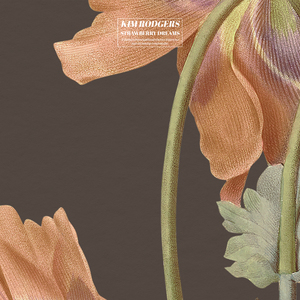 福利视频老司机
